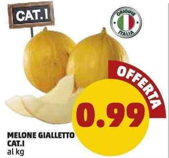 PENNY Melone Gialletto Cat.I offerta