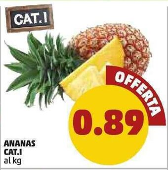 PENNY Ananas Cat.I offerta