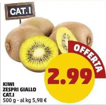 PENNY Kiwi Zespri Giallo Cat.I 500g offerta
