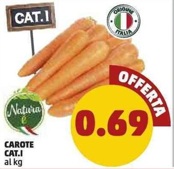 PENNY Carote Cat.I offerta