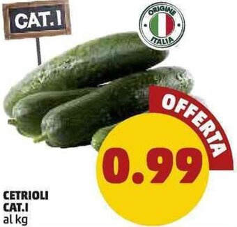 PENNY Cetrioli Cat.I offerta