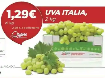Coop Coop Origine Uva Italia offerta
