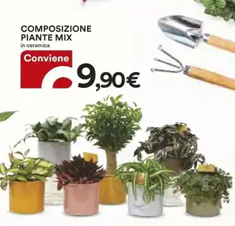 Coop Composizione Piante Mix offerta