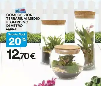 Coop Composizione Terrarium Medio Il Giardino Di Vetro offerta
