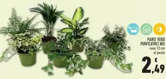 Conad Piante Verdi Purificatrici Mix offerta