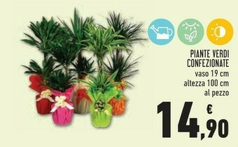 Conad Piante Verdi Confezionate offerta
