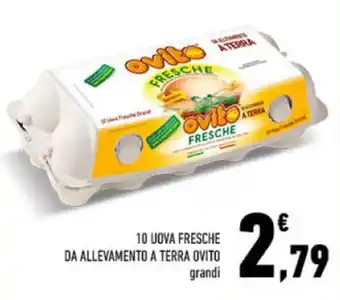 10 UOVA FRESCHE DA ALLEVAMENTO A TERRA OVITO grandi