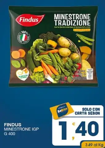 SeBón Supermercati Findus minestrone igp offerta