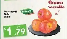Despar Valfrutta Mele Royal Gala offerta