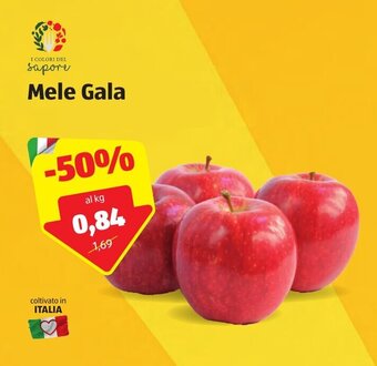 ALDI Mele Gala offerta
