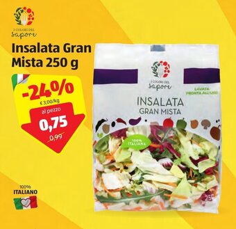 ALDI Insalata Gran Mista 250g offerta