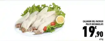 Conad CALAMARI DEL PACIFICO PULITI DECONGELATI offerta