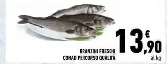 Conad BRANZINI FRESCHI CONAD PERCORSO QUALITÀ offerta