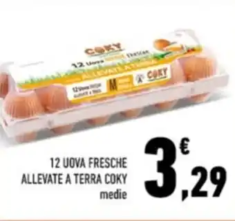 Conad 12 UOVA FRESCHE ALLEVATE A TERRA COKY medie offerta