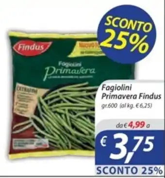 DiMeglio Fagiolini Primavera Findus gr.600 offerta