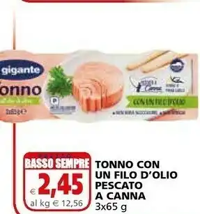 Il Gigante Il Gignate Tonno Con Un Filo D'olio Pescato A Canna offerta