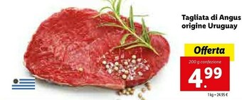 Lidl Tagliata Di Angus Origine Uruguay offerta