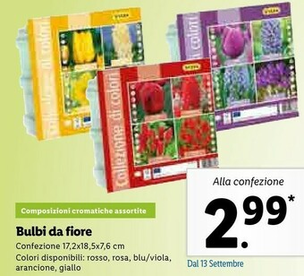 Lidl Bulbi Da Fiore offerta