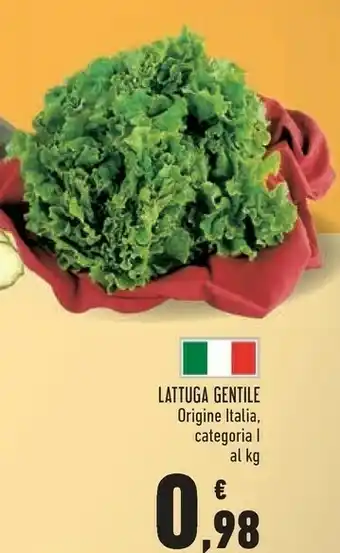 Conad Superstore Lattuga Gentile offerta