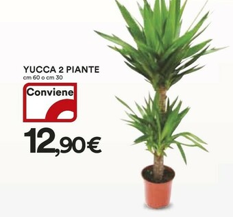 Coop Piante offerta