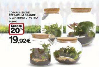Coop Piante offerta