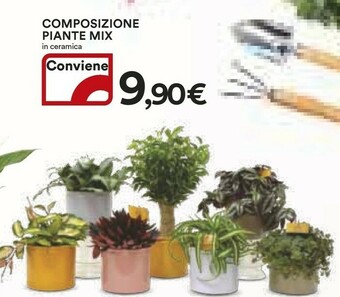Coop Piante offerta