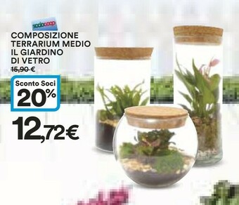Coop Piante offerta