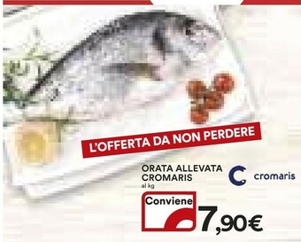 Coop Orata offerta