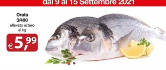 Docks Cash&Carry Orata offerta