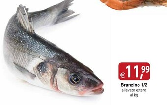 Branzino