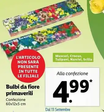 Lidl Bulbi Da Fiore Primaverili offerta