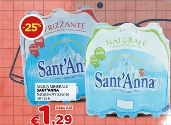 Crai Sant'anna Acqua Sant'Anna offerta