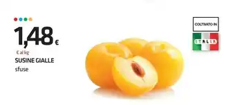 Susine Gialle