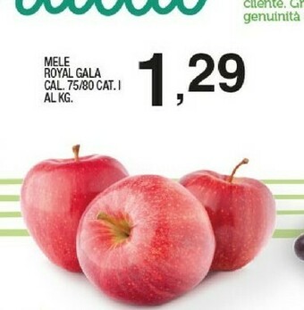 Sigma Mele Royal Gala offerta