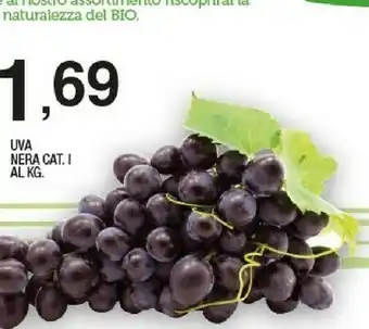 Sigma Uva Nera offerta