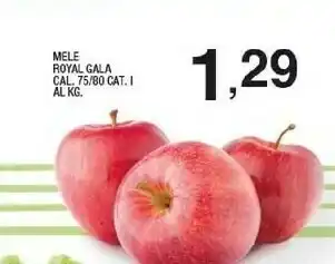 Sigma Royal Mele Gala offerta