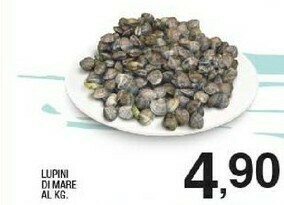 Sigma Lupini Di Mare offerta