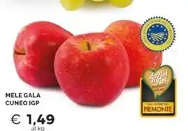 Mercatò Mele gala cuneo igp offerta