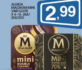 Sigma Algida Magnum Mini offerta