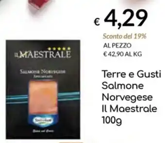 Terre e Gusti Salmone Norvegese Il Maestrale 100g