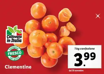 Lidl Clementine 1 kg confezione offerta