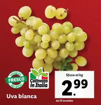 Lidl Uva bianca Sfusa al kg offerta