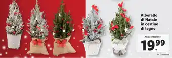 Lidl Alberello di Natale in cestino di legno offerta
