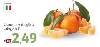 Clementine affogliate