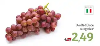 Uva Red Globe