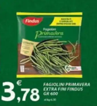 Vivo Supermercati FAGIOLINI PRIMAVERA EXTRA FINI FINDUS GR 600 offerta