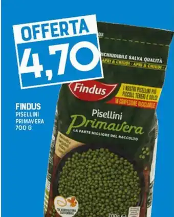 Gran Risparmio FINDUS PISELLINI PRIMAVERA 700 G offerta