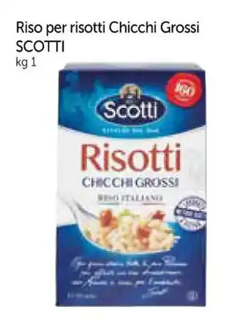 A&O Riso per risotti Chicchi Grossi SCOTTI kg 1 offerta
