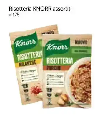 A&O Risotteria KNORR assortiti g 175 offerta