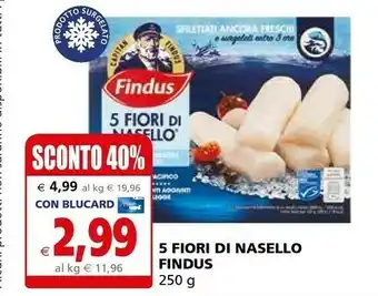 Il Gigante Findus 5 Fiori Di Nasello 250 G(ml) offerta